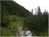 Passo Tre Croci - Sella di Punta Nera